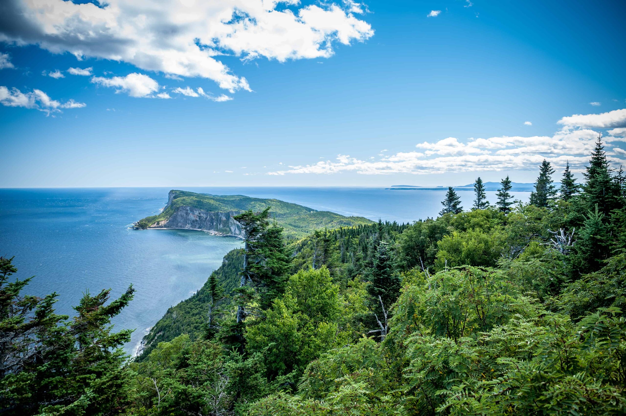 L’unique parc Forillon